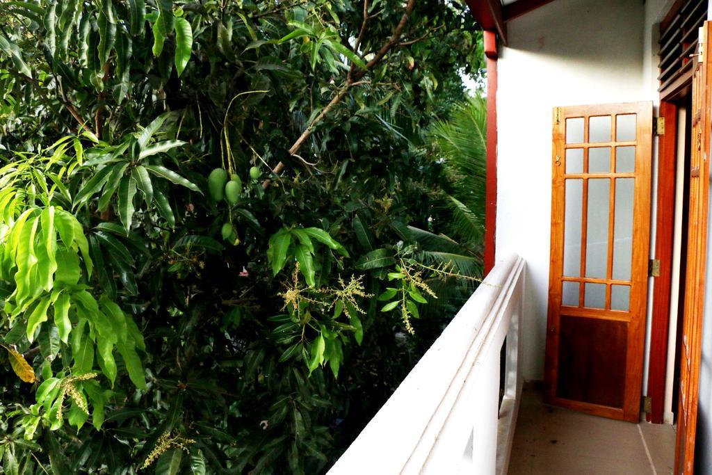 The Cool Nest Yala Hotel Tissamaharama Eksteriør bilde